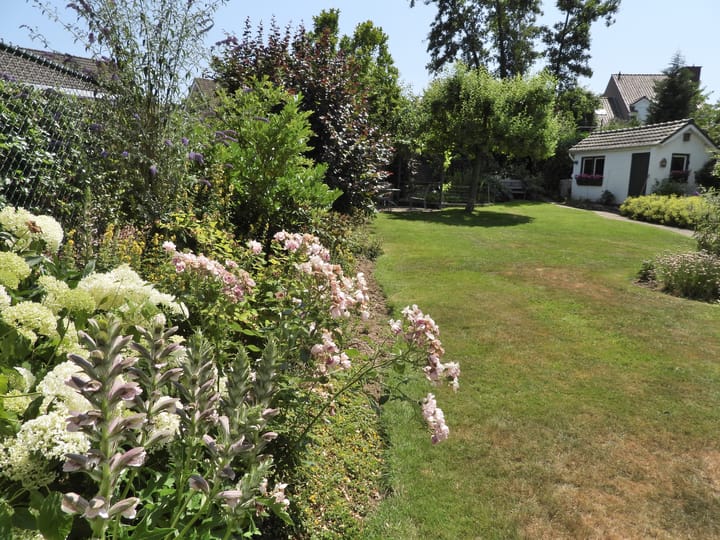 Foto 51 van Looiwinkelstraat 30