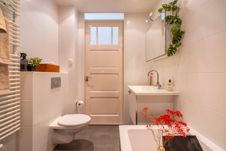 Foto 47 van Dwergbieslaan 124