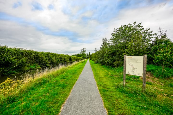 Foto 58 van Dwergbieslaan 124