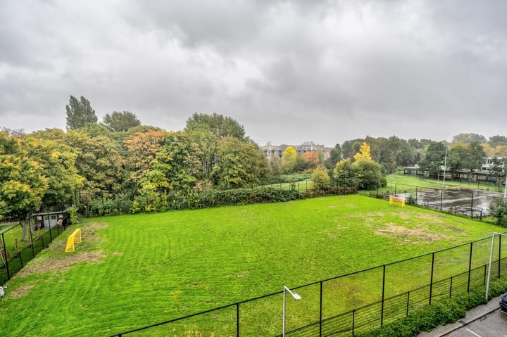 Photo 17 of Theseusstraat 147