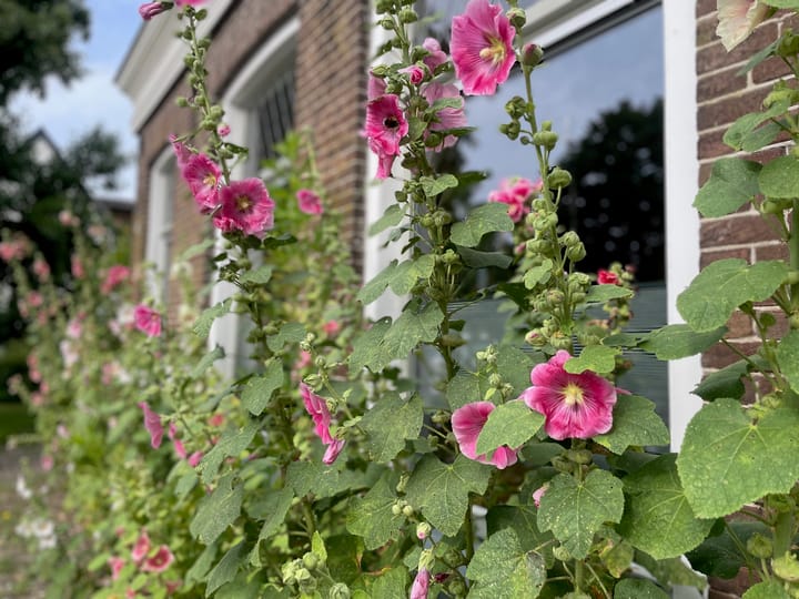 Photo 5 of Schoolstraat 2