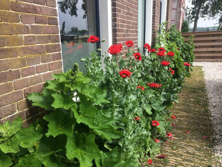 Photo 65 of Schoolstraat 2