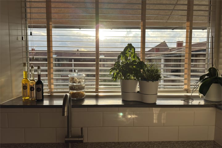 Photo 14 of Boskamp 94