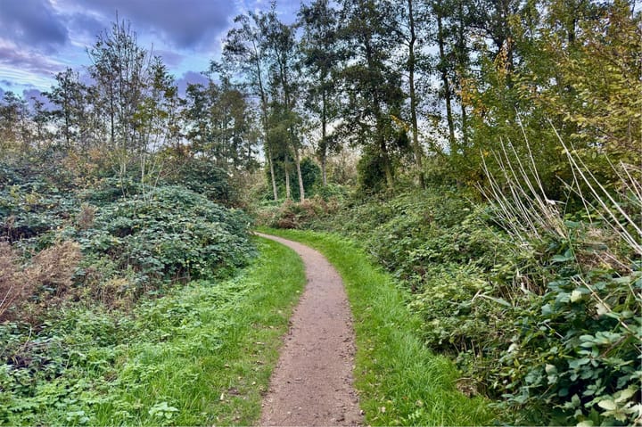 Photo 49 of Boskamp 94