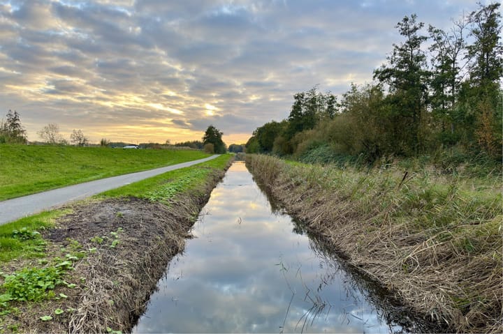 Photo 51 of Boskamp 94