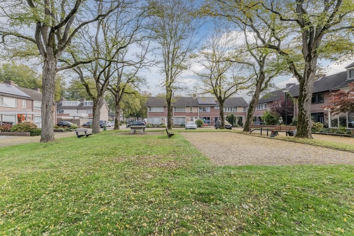 Foto 41 van den Dries 19