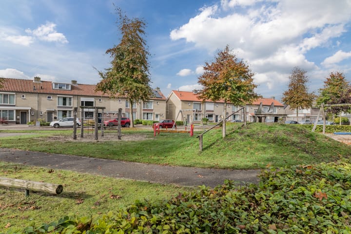 Foto 42 van den Dries 19