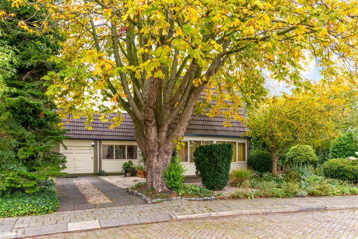 Photo 44 of Vuurkruidstraat 28