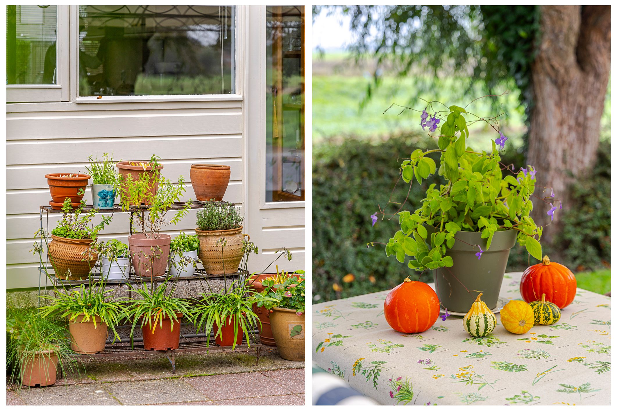 Photo 45 of Vuurkruidstraat 28