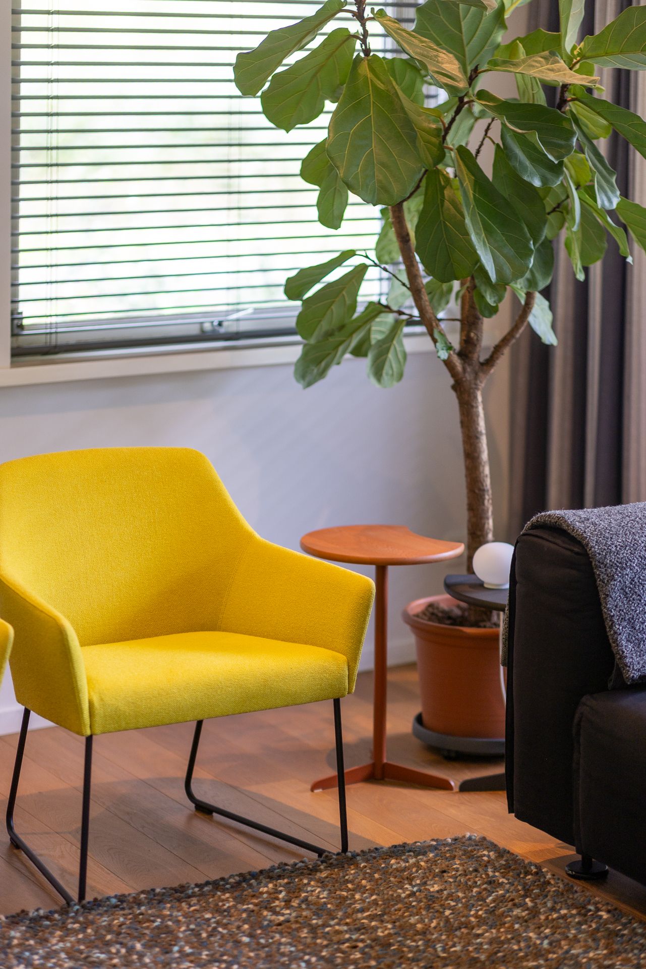 Photo 9 of Gentianenlaan 17