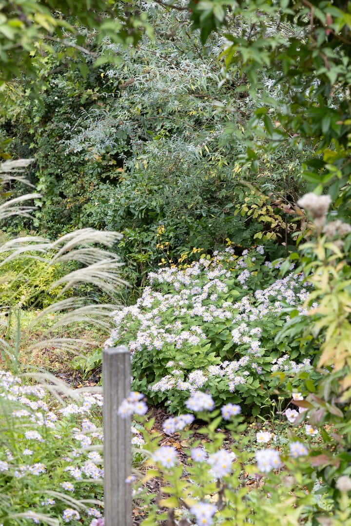 Foto 41 van Gentianenlaan 17