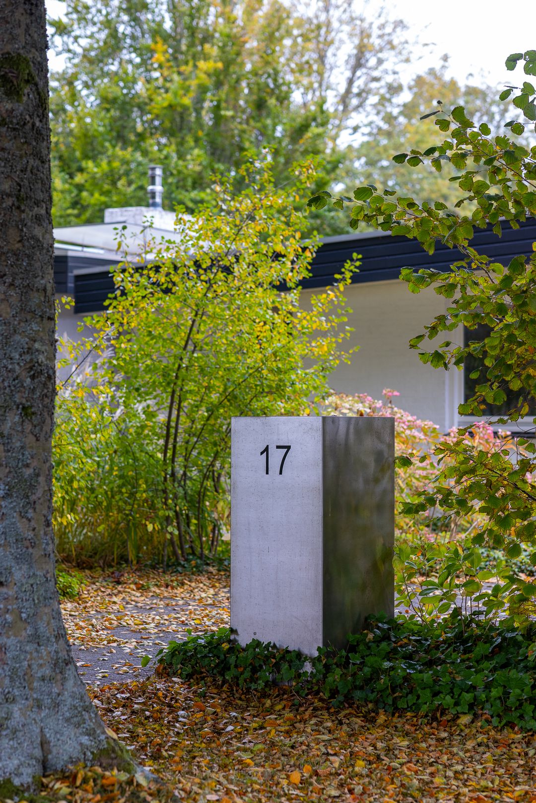 Photo 43 of Gentianenlaan 17