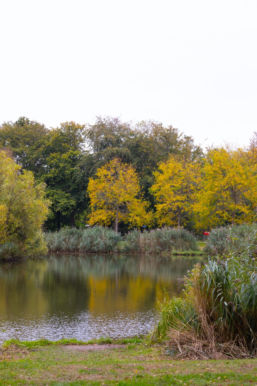 Photo 46 of Gentianenlaan 17