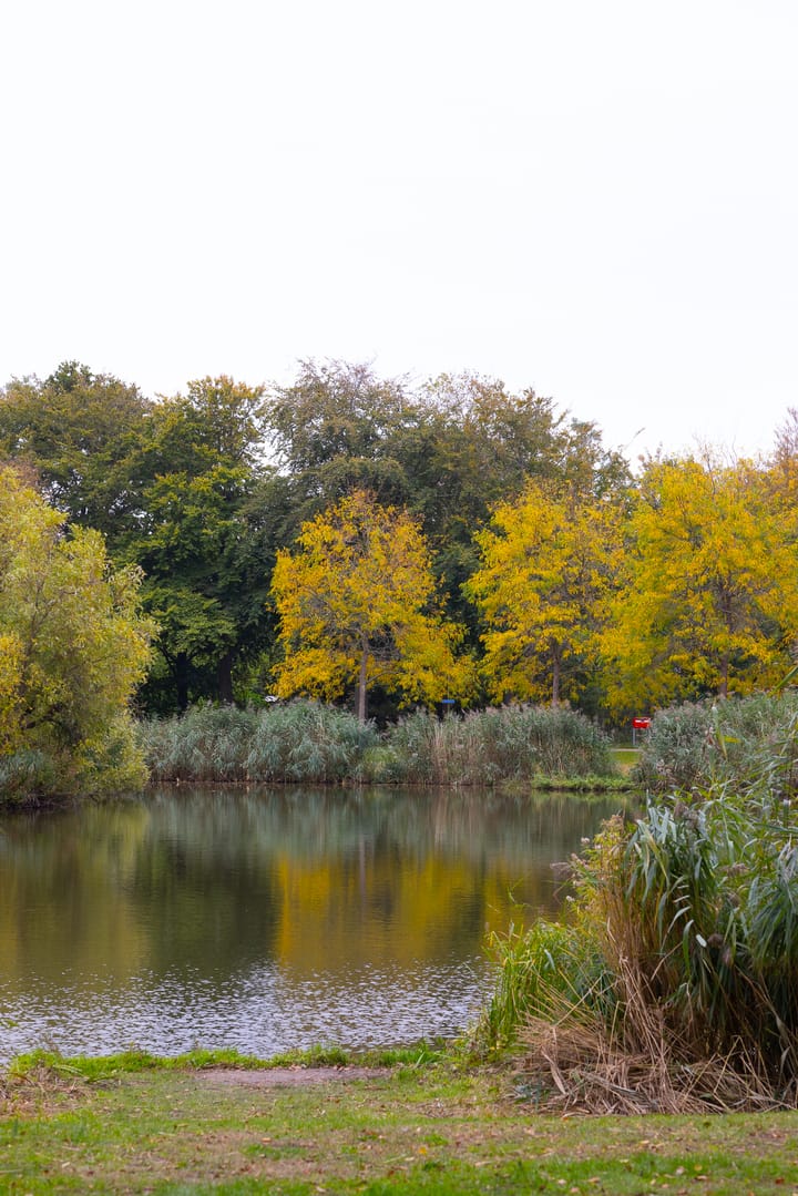 Foto 46 van Gentianenlaan 17