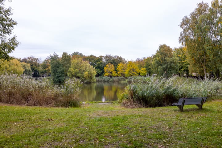 Foto 47 van Gentianenlaan 17