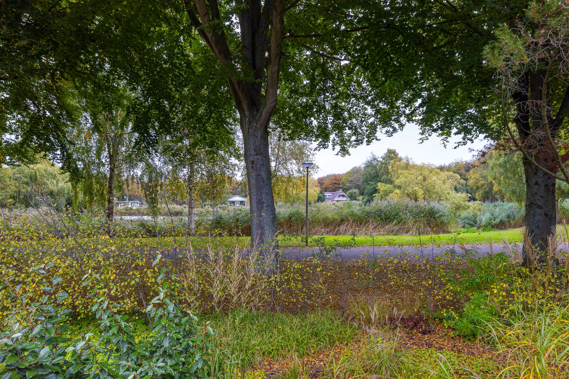 Photo 48 of Gentianenlaan 17