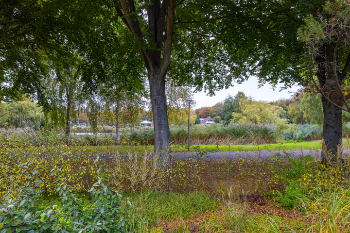 Foto 48 van Gentianenlaan 17