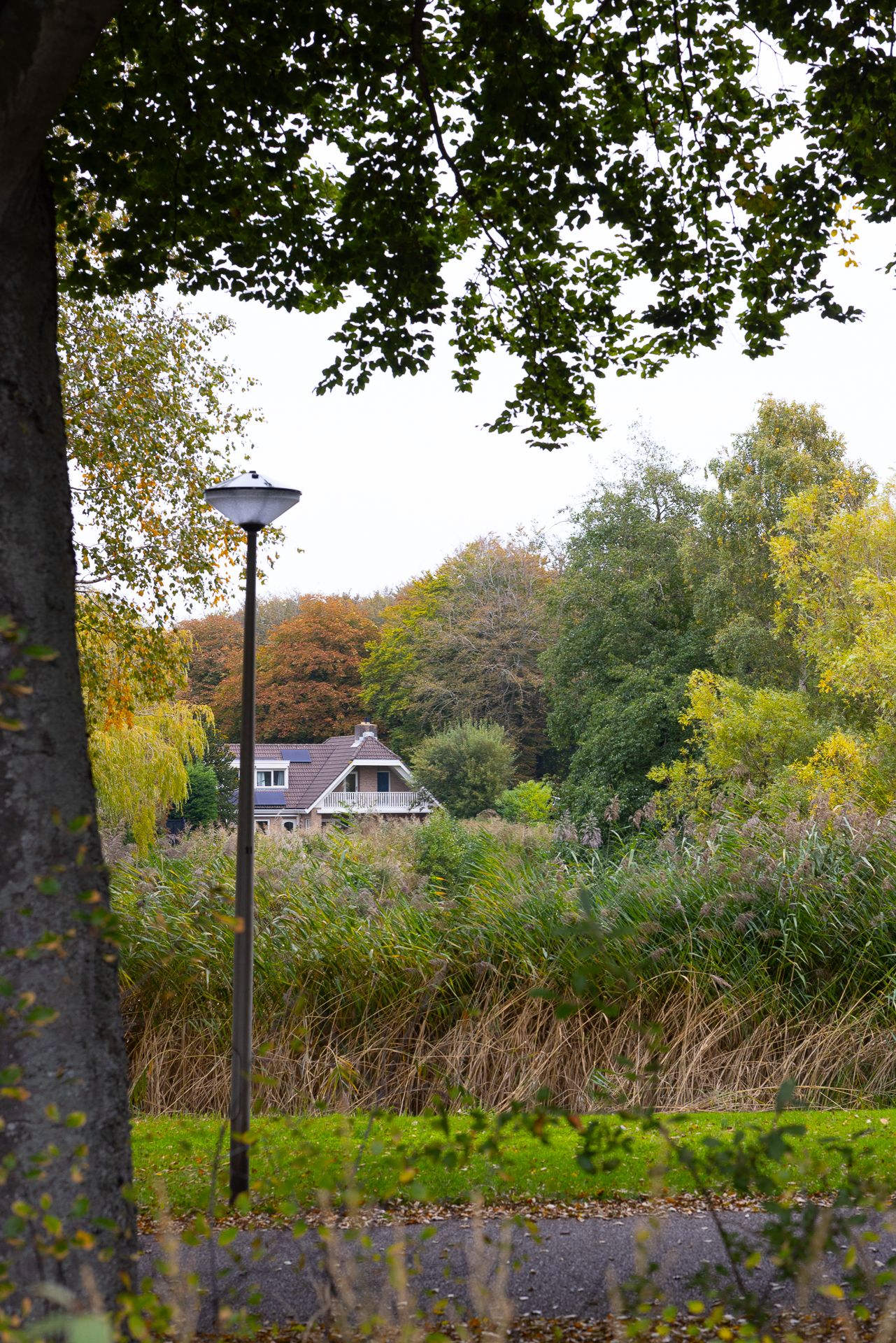 Photo 49 of Gentianenlaan 17