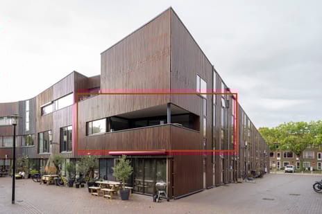 Dotterbloem thumbnail