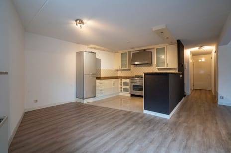 Dotterbloem 14 tertiary image