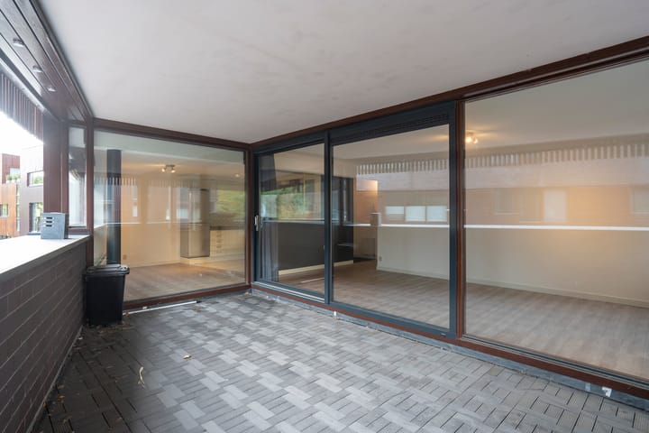 Foto 13 van Dotterbloem 14