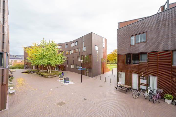 Foto 15 van Dotterbloem 14