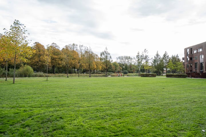 Foto 27 van Dotterbloem 14