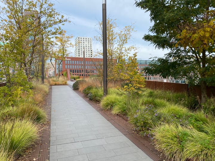 Foto 55 van Hofmeesterstraat 44