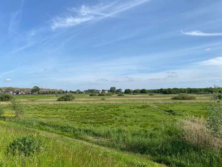 Foto 56 van Hofmeesterstraat 44