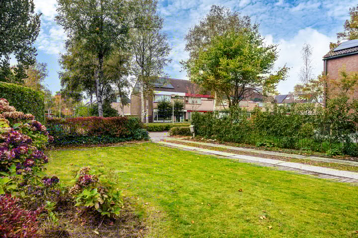 Photo 47 of de Tolve 16