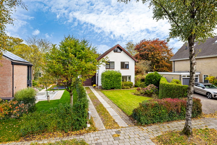 Photo 49 of de Tolve 16