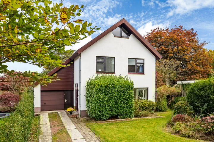 Photo 50 of de Tolve 16