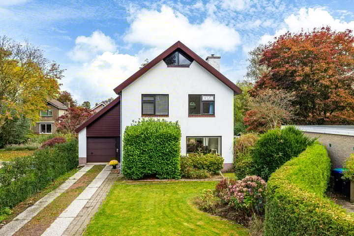 Photo 52 of de Tolve 16