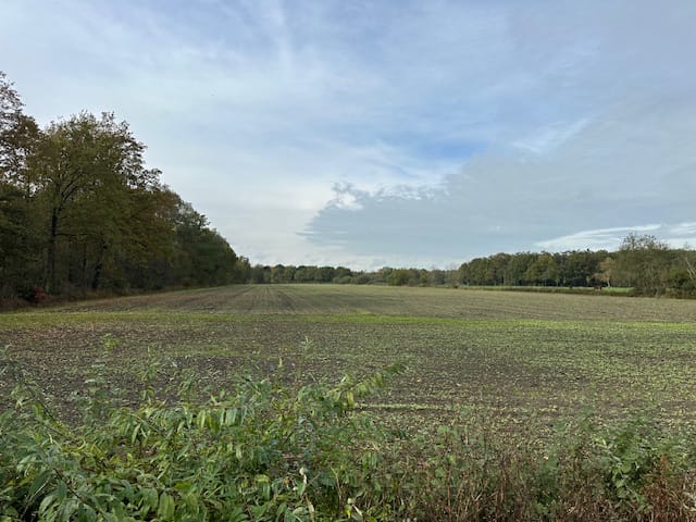 Scholtemaatweg 13-nabij, Winterswijk Ratum