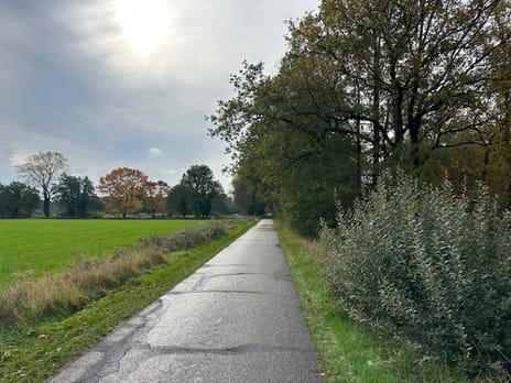Bekijk foto's