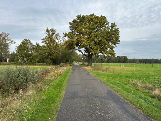 Bekijk foto 3 van Scholtemaatweg 13-nabij