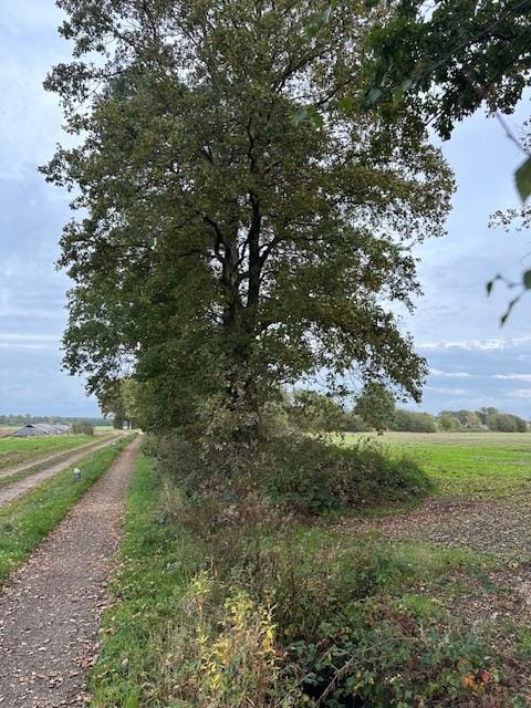 Bekijk foto 5 van Scholtemaatweg 13-nabij