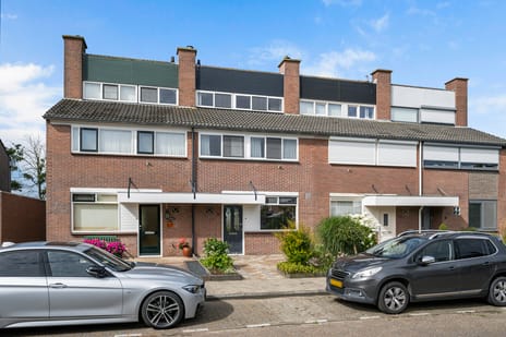 undefined main image