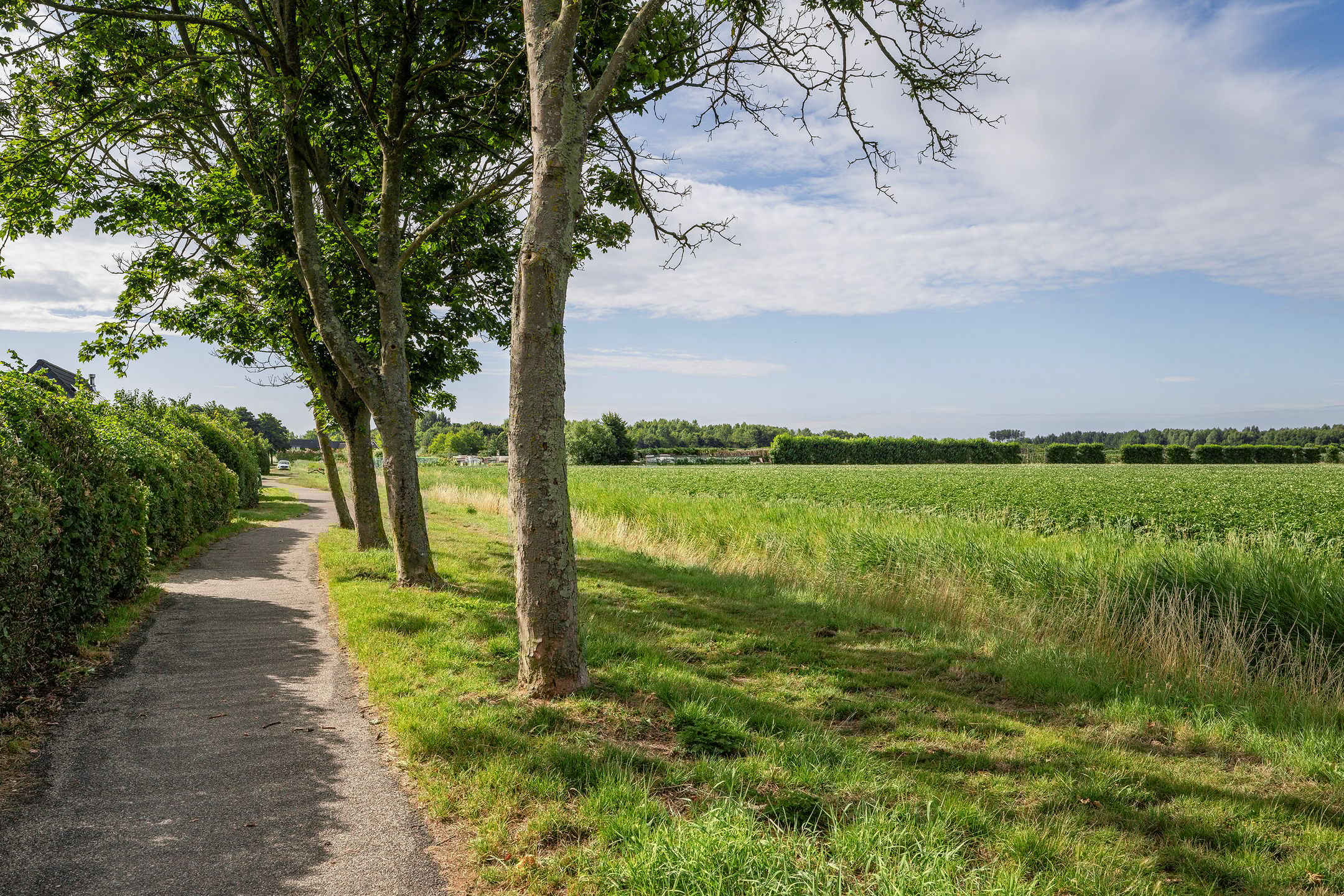 Foto 33 van Gladiolenstraat 11