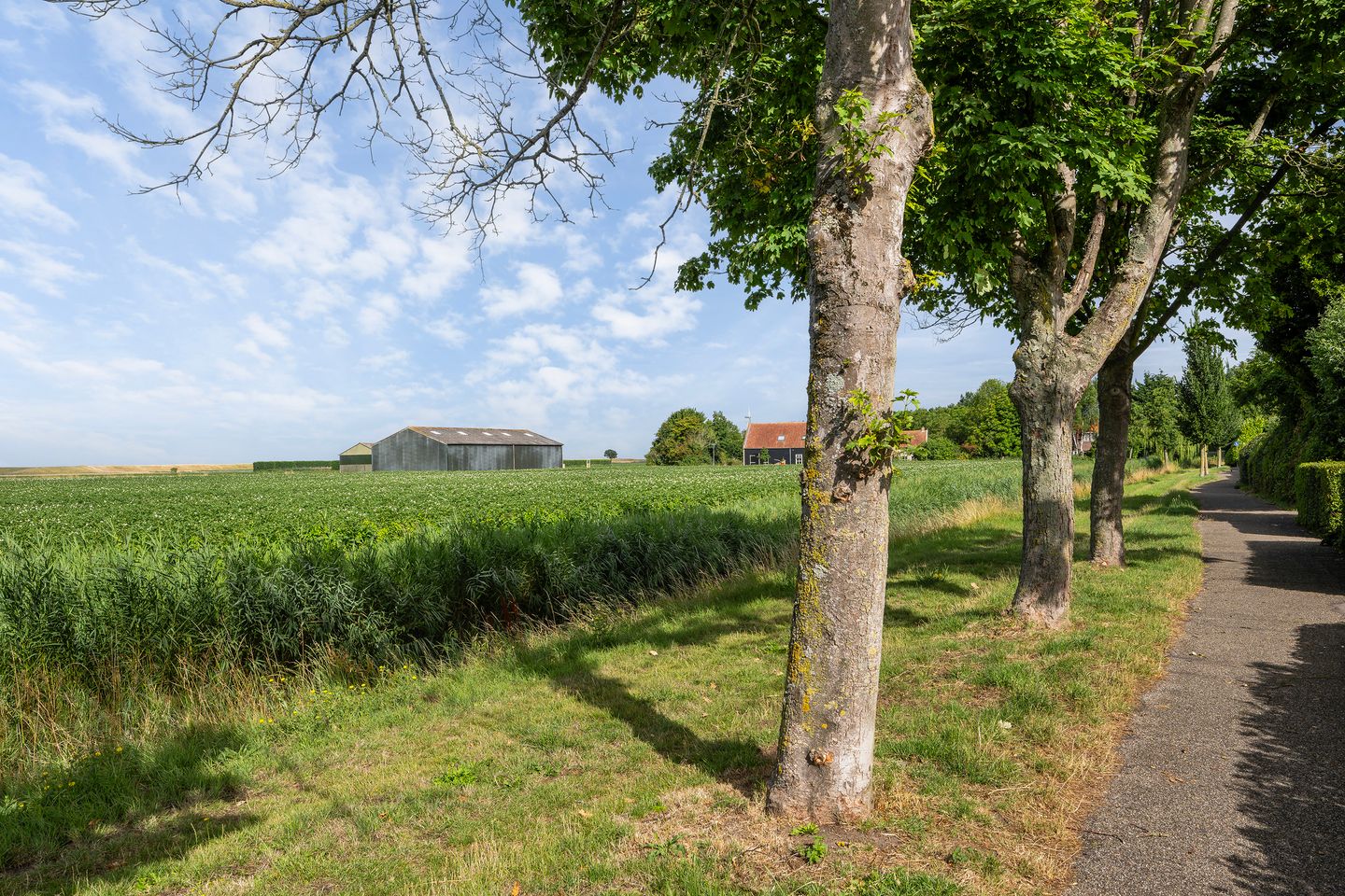 Foto 34 van Gladiolenstraat 11