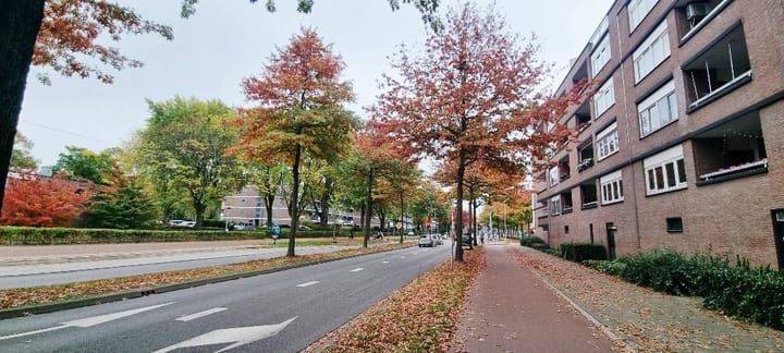 Foto 3 van Franklin D Rooseveltlaan 49