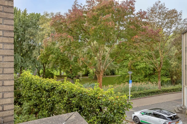 Foto 16 van Plantijndomein 21