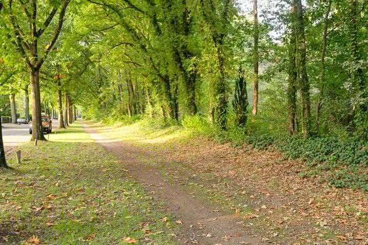 Foto 51 van Scheidingsweg 22