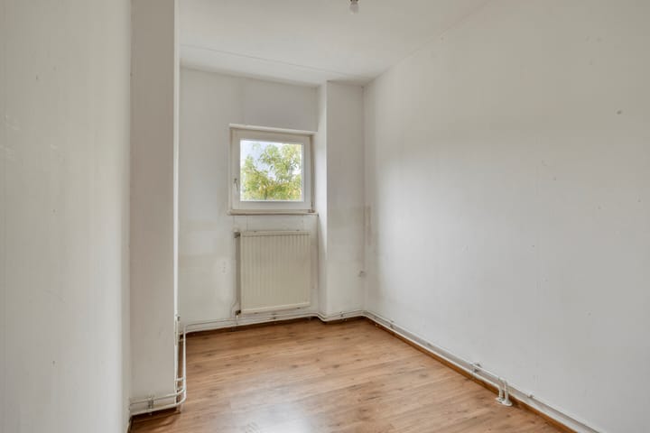 Foto 22 van Plantijndomein 21