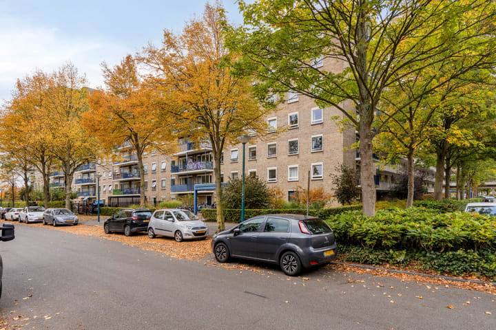 Foto 2 van Aert van Neslaan 411