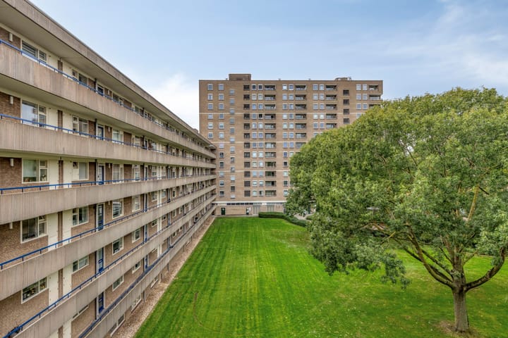 Foto 29 van Aert van Neslaan 411