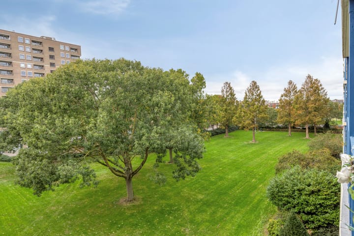 Foto 30 van Aert van Neslaan 411