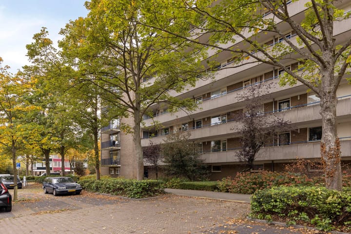 Foto 32 van Aert van Neslaan 411