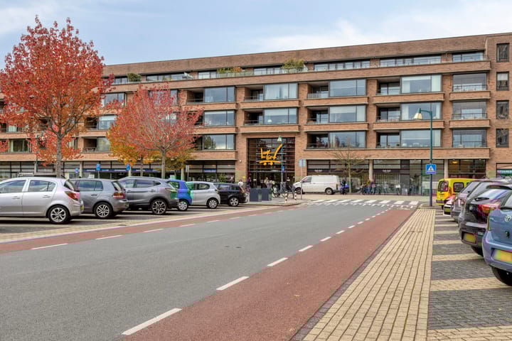 Foto 33 van Aert van Neslaan 411