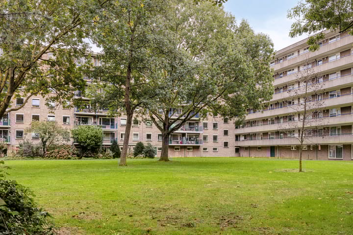 Foto 34 van Aert van Neslaan 411